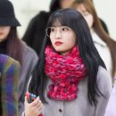 모모 이미지