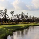 로얄개발(주) 레이크우드 골프장 이미지