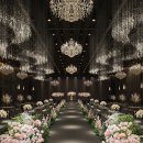 더 링크 서울, 트리뷰트 포트폴리오 호텔 이미지