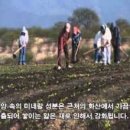 엘 농장 이미지