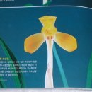 한수금
