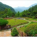 대아환경