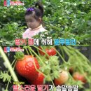 하은농장2 이미지