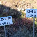 남대리녹색농촌체험마을 이미지