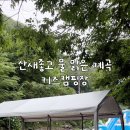 배내로 | 양산 캠핑배내,물놀이 수영장,너무 깨끗했던 계곡,캠핑장 후기