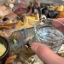 루원시티독 이미지