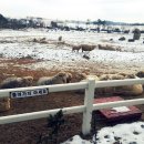 길구농장 이미지