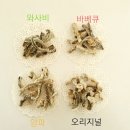 나래건어식품