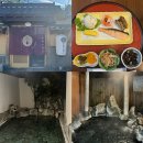 유카센타 | 유후인 료칸 가성비 온천 숙소 조식 맛집 코토노카신 시라유리 후기