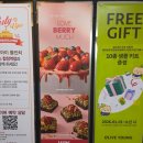 아이러브피자입암점 | 빕스 합정역점 딸기뷔페 후기- 러브베리머치 시즌 생딸기 무제한, 두바이초코
