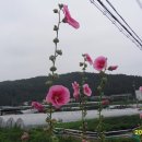 달구벌식당 - 수성구 | 달구벌식당