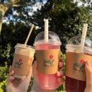 북새통(대신본점) | 2025 제주 수학여행 후기, 첫째날 (10월 어느날)