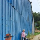 명신초교 이미지