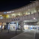 가락시장 수산시장 횟집 향기수산 굴찜 굴 시세 내돈내산 후기