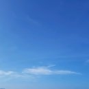 입원 약물치료내용 공유합니다!!!!!(옮겨온글 ) 이미지