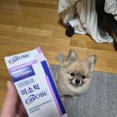 로운동물병원/강아지외이염/강아지이소틱사용법/내돈내산후기/24시동물병원추천