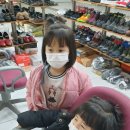 신월초교병설유치원 이미지