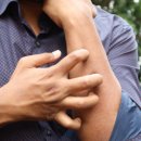 효천약국 이미지