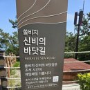 소삼도 네이버블로그