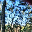 금봉산 농장 이미지