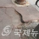 섬안로 국제뉴스