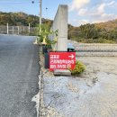 경기도 동물원 양평 굼프로 곤충체험학습장 : 먹이 주고 화석 만들기 체험 후기