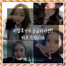 리매몰