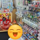 퍼피모리 | 여행 | 대마도 쇼핑몰 투어 + 식당 후기