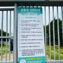 아이앤독 이미지