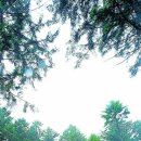 산골자전거 이미지