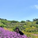 진성(경남)