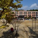 보라초등학교 이미지