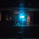 버블&레이저쇼 이미지