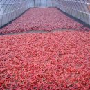 영양고등학교 이미지