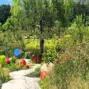 거창창포원 이미지