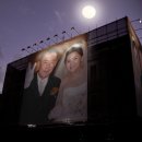 보은양과 이미지