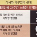 웰빙비타민 이미지