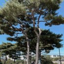 수원-0917 이미지