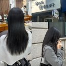강남미용실 그로잉살롱 학동점 복구매직 후기 곱슬매직맛집