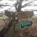 하동 730 이미지