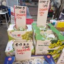 송산농산 네이버블로그