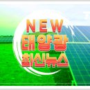 도미태양광발전소 이미지