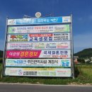 이끌림결혼정보