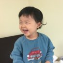 아인파파2016