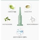 그린토마토 이미지