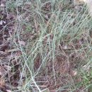 앞뜰농장 이미지