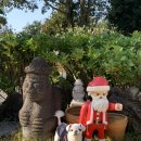 하천리-2 | 제주도 애견동반 숙소 내돈내산 추천 [아름다운호야네] 3번째 재방문 후기❤️