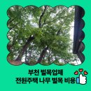 세븐일레븐부천전원마을점 | 부천 벌목업체 전원주택 나무 벌목 비용