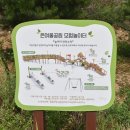 케이엠 스포츠 이미지