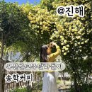 중원적산 | 부산근교 주말 나들이 진해 송학커피 목향장미 실시간